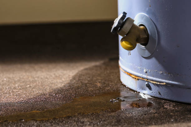 Best Water damage cleanup near me  in Rainbow Lakes, NJ