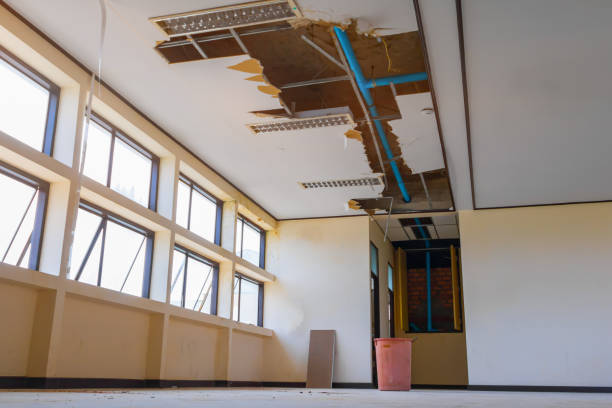Best Commercial water damage restoration  in Rainbow Lakes, NJ
