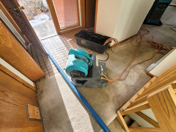 Best Carpet water damage restoration  in Rainbow Lakes, NJ