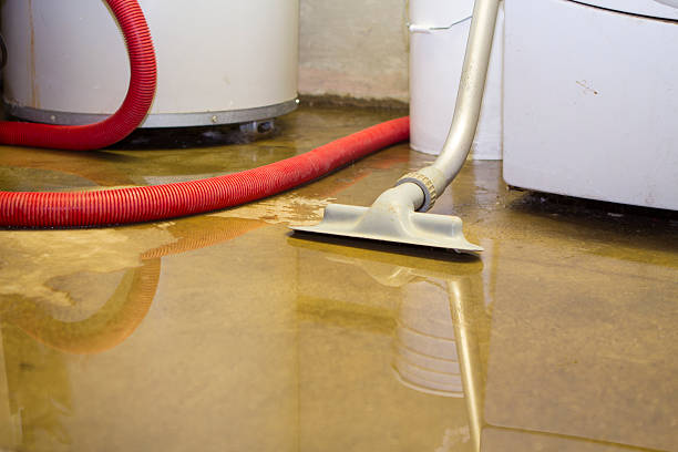 Professional Water damage restoration in Rainbow Lakes, NJ