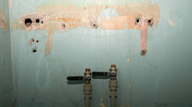 Best Water damage contractors near me  in Rainbow Lakes, NJ
